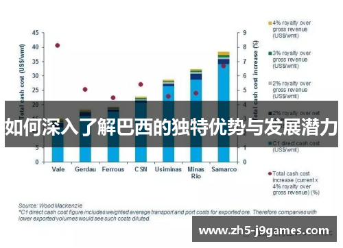 如何深入了解巴西的独特优势与发展潜力 如何深入了解巴西的独特优势与发展潜力
